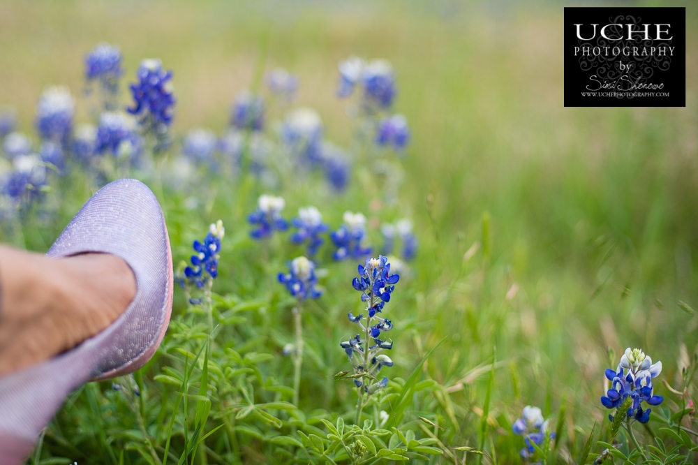 20160410.101.365.bluebonnet fancy