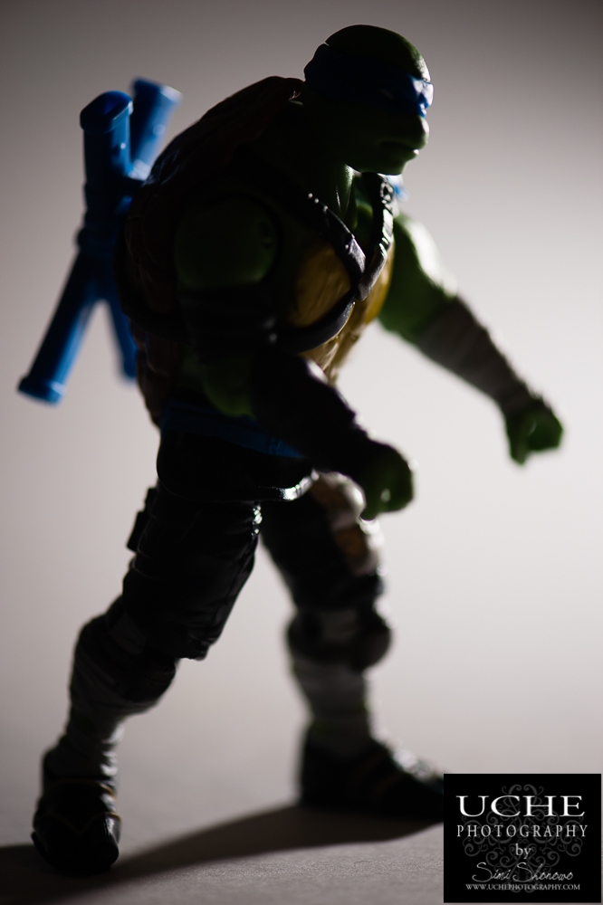 20160415.106.365.skulking