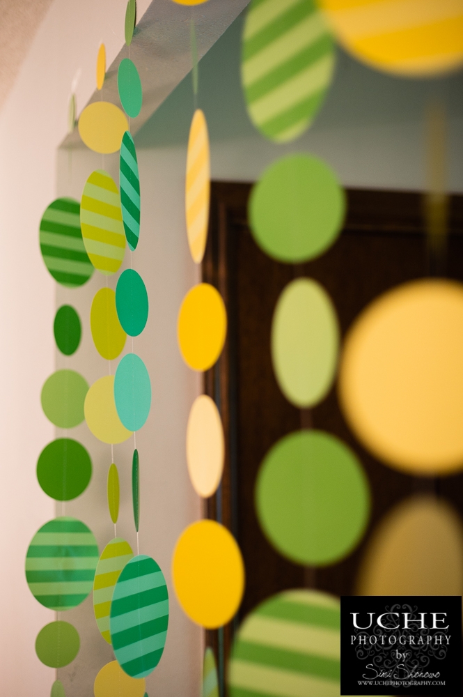 20160417.108.365.circle bokeh