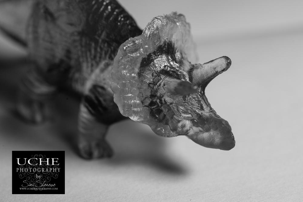 20160418.109.365.triceratops