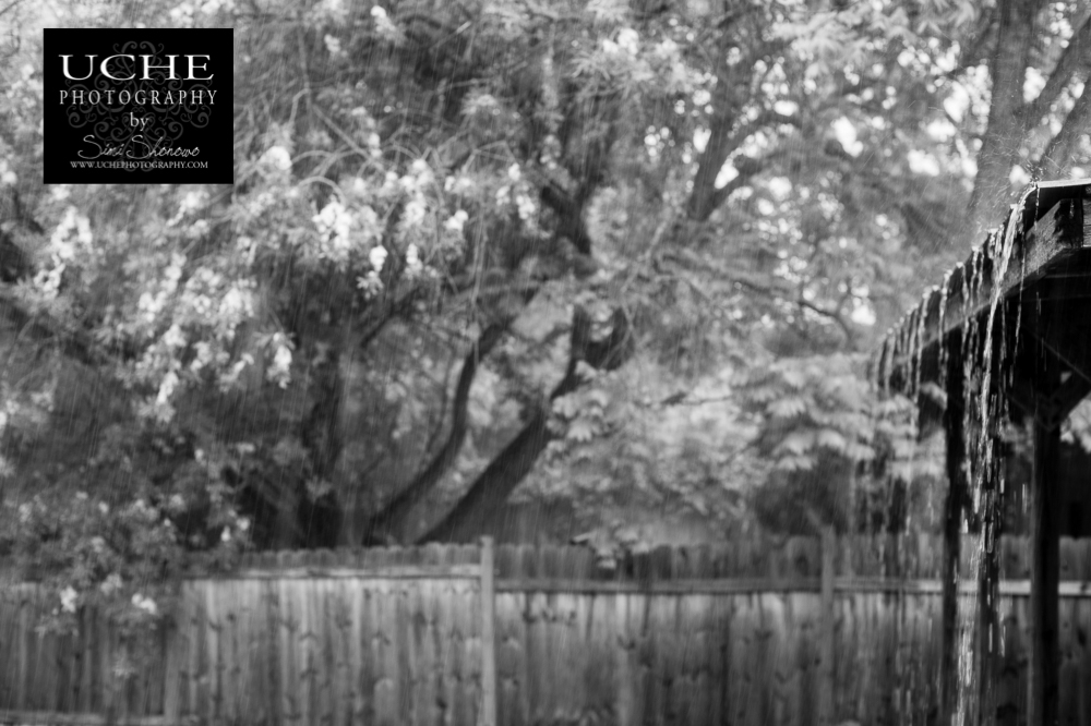 20160424.115.365.rain streaked