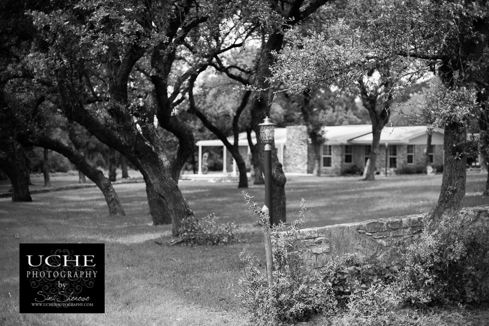 20160512.133.365.nestled in oaks