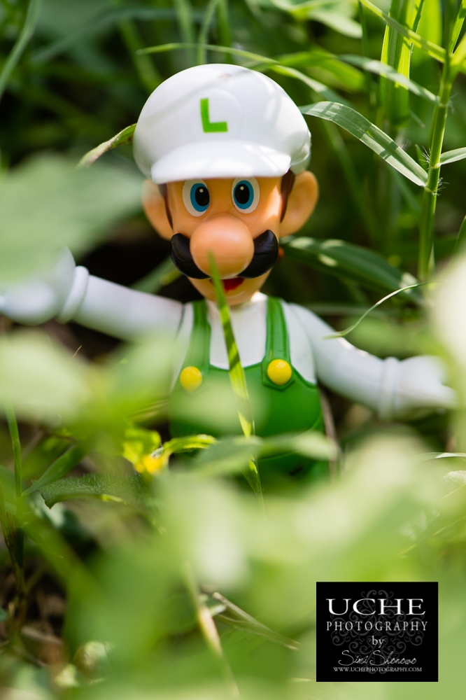 20160517.138.365.in the weeds