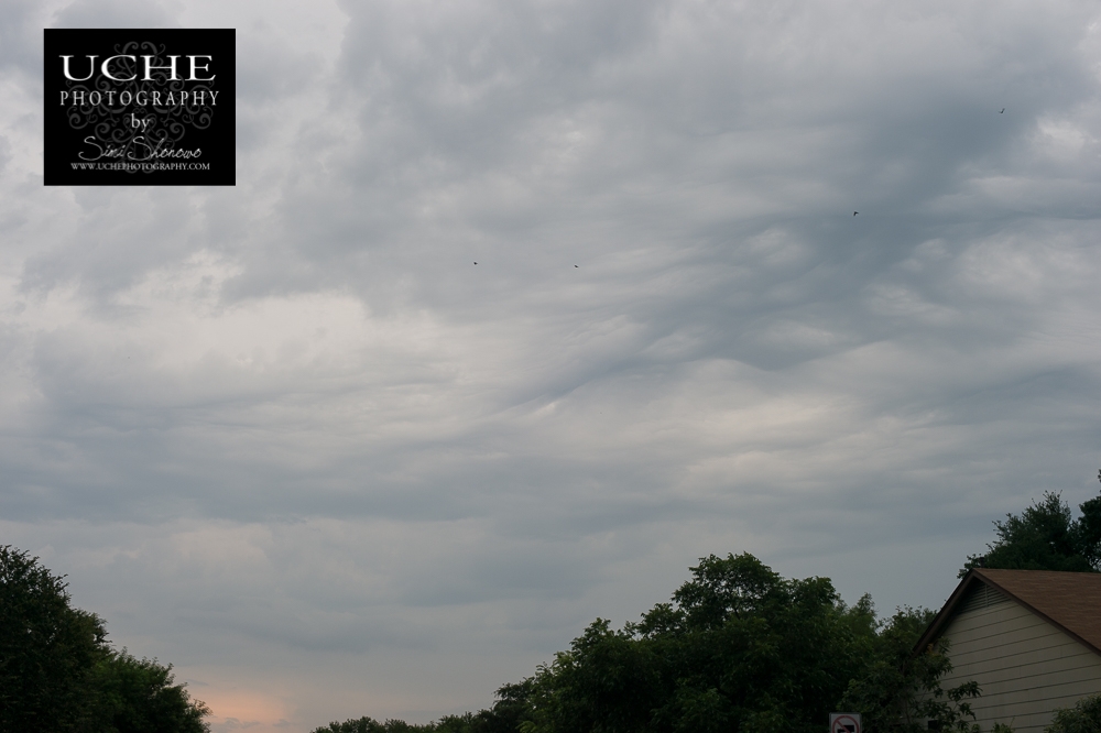 20160531.152.365.evening flight