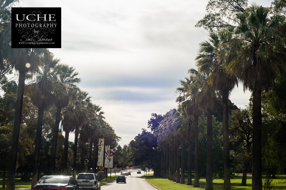 20160611.163.365.drive thru king's park