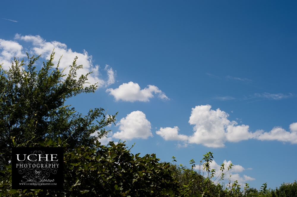 20160730.212.365.look up view