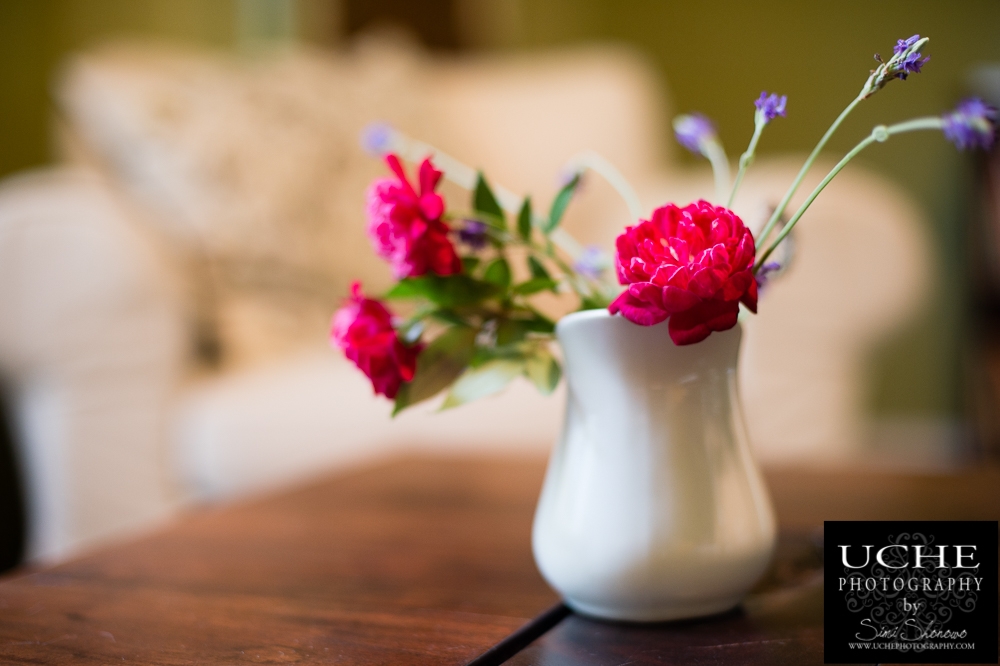 20160824.237.365.flowers from the garden
