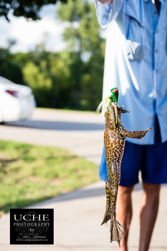 20160828.241.365.bullfrog caught