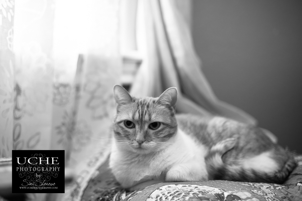 20161005.279.365.pumpkin looks