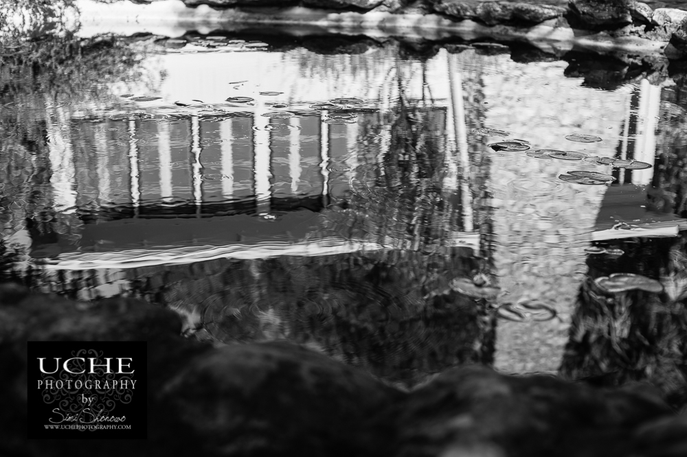 20161009.283.365.at home in the pond