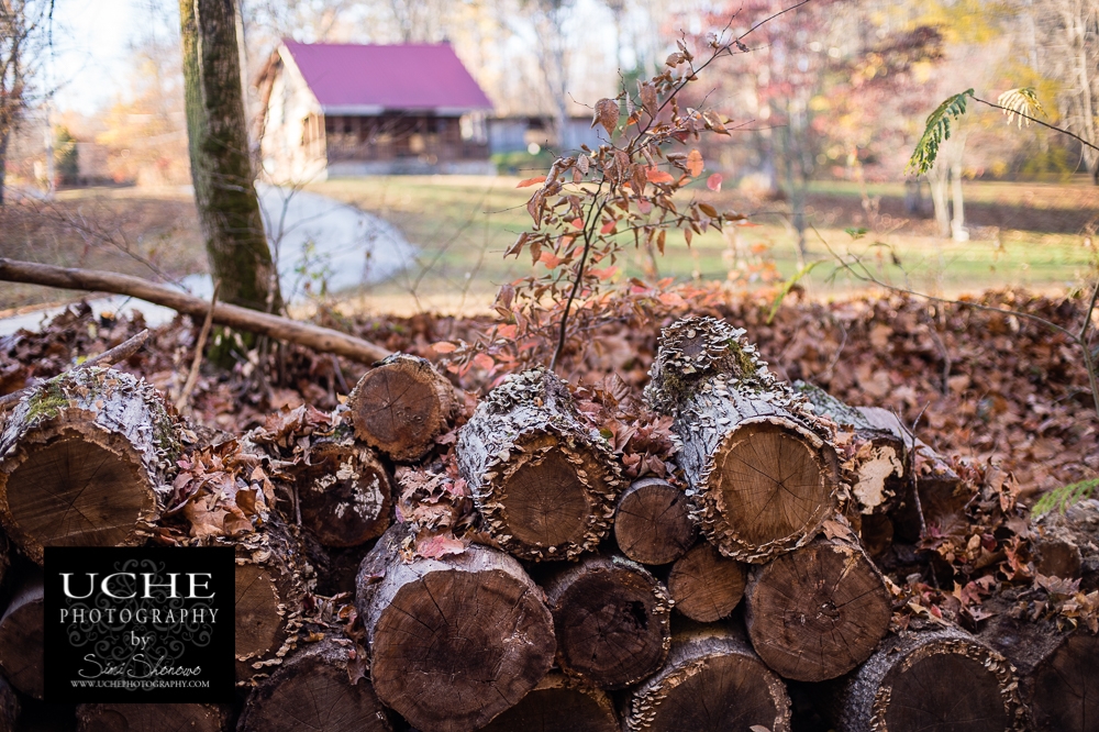 20161118.323.365.cabin wood
