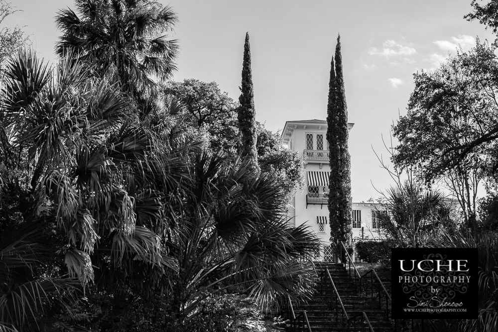 20161129.334.365.up the stairs at laguna