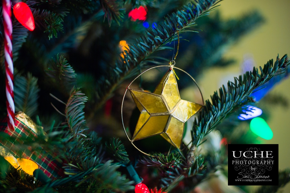 20161207.342.365.star ornament