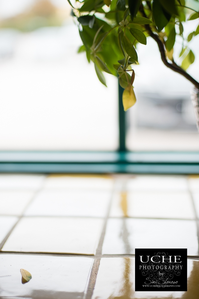 20161208.343.365.corner leaf