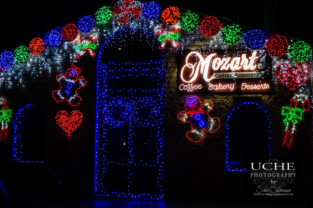 20161225.360.365.gingerbread house mozart's