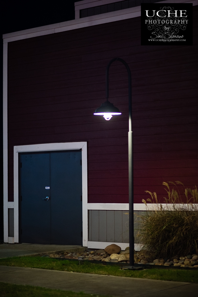20161231.366.365.under lamp path